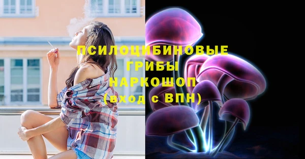 спиды Абинск
