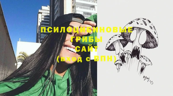 марки lsd Абаза