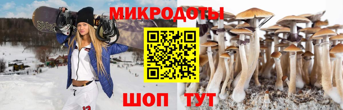Псилоцибиновые грибы MAGIC MUSHROOMS  Вход с VPN  Ишимбай 